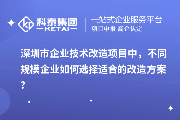 深圳市企業(yè)技術(shù)改造項(xiàng)目中，不同規(guī)模企業(yè)如何選擇適合的改造方案？