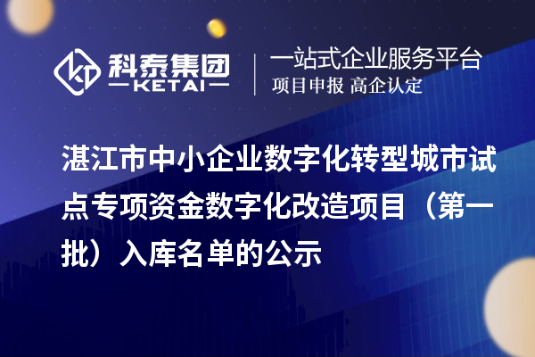 湛江市中小企業數字化轉型城市試點專項資金數字化改造項目（第一批）入庫名單的公示