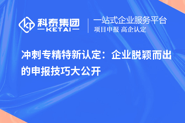 沖刺專精特新企業(yè)：企業(yè)脫穎而出的申報技巧大公開