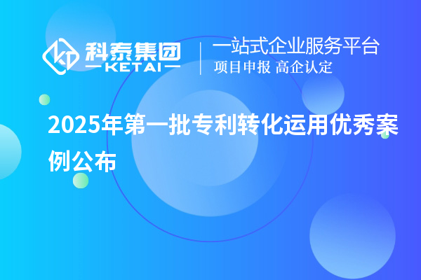 2025年第一批專利轉化運用優秀案例公布