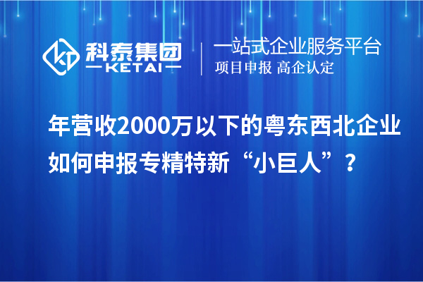 年營收2000萬以下的粵東西北企業(yè)如何申報專精特新“小巨人”？