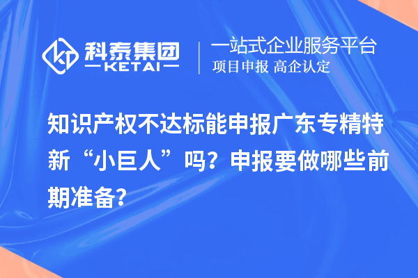 知識產(chǎn)權(quán)不達(dá)標(biāo)能申報(bào)廣東專精特新“小巨人”嗎？申報(bào)要做哪些前期準(zhǔn)備？