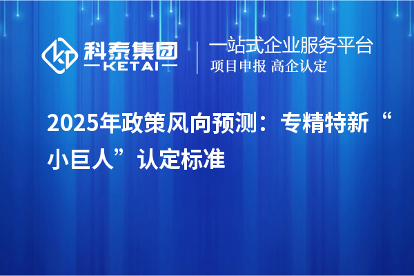 2025年政策風(fēng)向預(yù)測(cè)：專精特新“小巨人”認(rèn)定標(biāo)準(zhǔn)