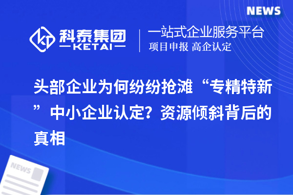 頭部企業為何紛紛搶灘“專精特新”中小企業認定？資源傾斜背后的真相