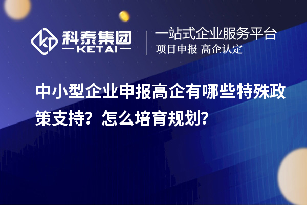 中小型企業申報高企有哪些特殊政策支持？怎么培育規劃？