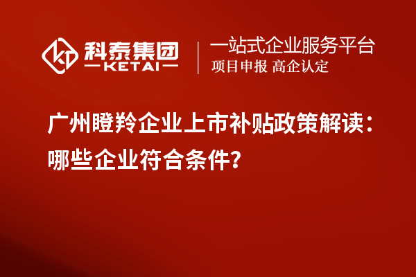 廣州瞪羚企業上市補貼政策解讀：哪些企業符合條件？