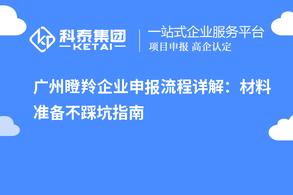 廣州瞪羚企業申報流程詳解：材料準備不踩坑指南