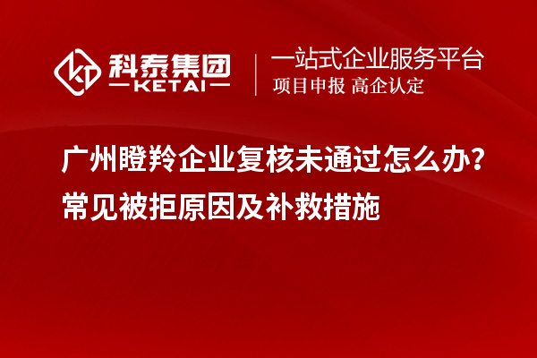 廣州瞪羚企業復核未通過怎么辦？常見被拒原因及補救措施