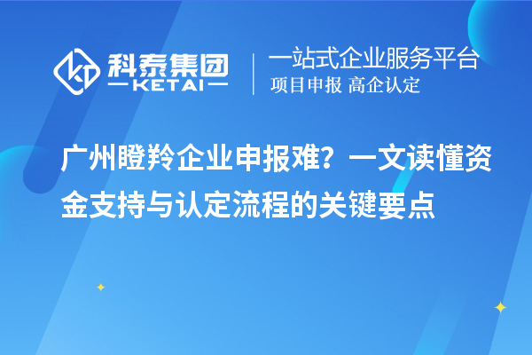 廣州瞪羚企業申報難？一文讀懂資金支持與認定流程的關鍵要點