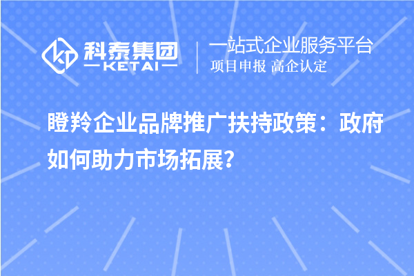 瞪羚企業品牌推廣扶持政策：政府如何助力市場拓展？