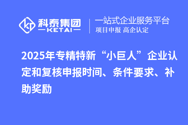 2025年專精特新“小巨人”企業(yè)認(rèn)定和復(fù)核申報(bào)時(shí)間、條件要求、補(bǔ)助獎(jiǎng)勵(lì)