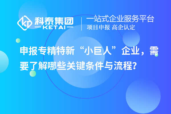 申報專精特新“小巨人”企業(yè)，需要了解哪些關鍵條件與流程？