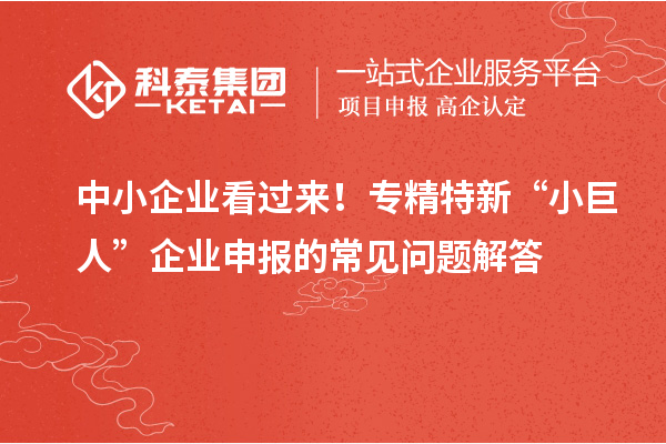 中小企業看過來！專精特新 “小巨人” 企業申報的常見問題解答