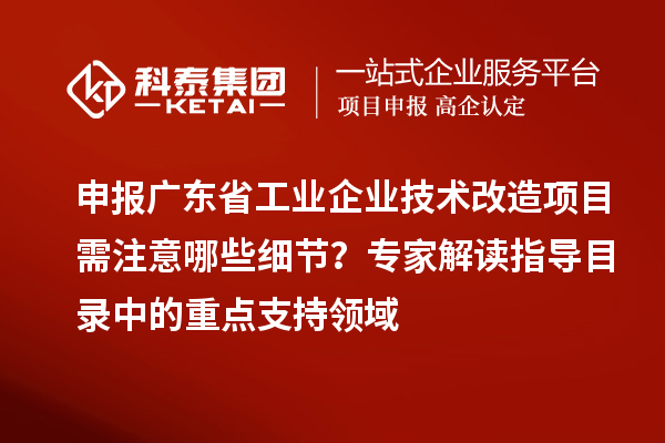 申報(bào)廣東省工業(yè)企業(yè)技術(shù)改造項(xiàng)目需注意哪些細(xì)節(jié)？專家解讀指導(dǎo)目錄中的重點(diǎn)支持領(lǐng)域