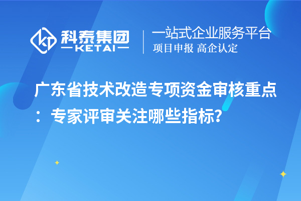 廣東省技術(shù)改造專項(xiàng)資金審核重點(diǎn)：專家評(píng)審關(guān)注哪些指標(biāo)？