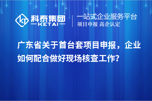 廣東省關于首臺套項目申報，企業如何配合做好現場核查工作？