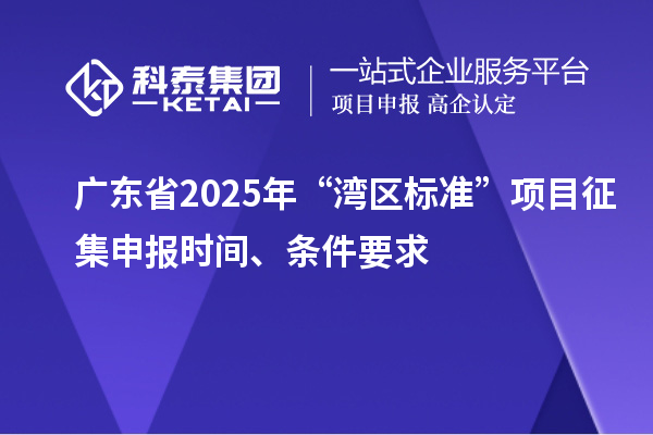 廣東省2025年“灣區標準”項目征集申報時間、條件要求