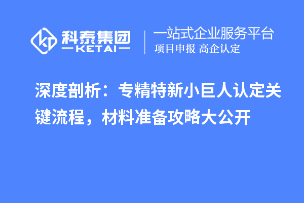 深度剖析：專精特新小巨人認定關鍵流程，材料準備攻略大公開