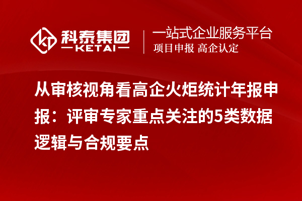 從審核視角看高企火炬統計年報申報：評審專家重點關注的5類數據邏輯與合規要點