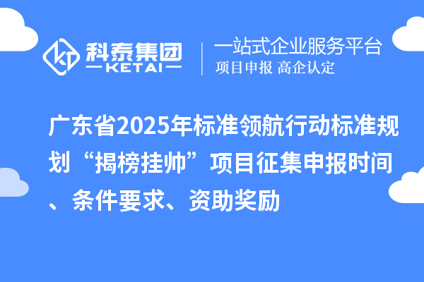 廣東省2025年標(biāo)準(zhǔn)領(lǐng)航行動標(biāo)準(zhǔn)規(guī)劃“揭榜掛帥”項(xiàng)目征集申報(bào)時(shí)間、條件要求、資助獎(jiǎng)勵(lì)