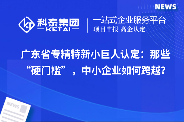 廣東省專精特新小巨人認(rèn)定：那些“硬門檻”，中小企業(yè)如何跨越？