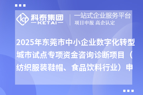 2025年東莞市中小企業數字化轉型城市試點專項資金咨詢診斷項目（紡織服裝鞋帽、食品飲料行業）申報條件要求、資助獎勵