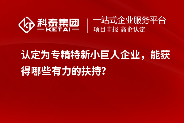 認(rèn)定為專精特新小巨人企業(yè)，能獲得哪些有力的扶持？