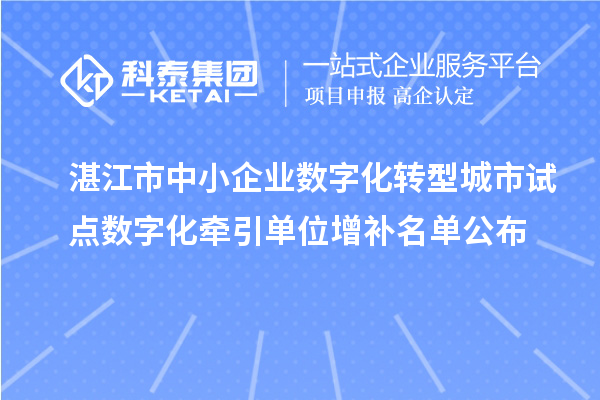 湛江市中小企業(yè)數(shù)字化轉(zhuǎn)型城市試點(diǎn)數(shù)字化牽引單位增補(bǔ)名單公布