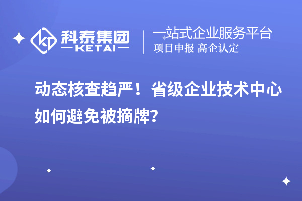 動態(tài)核查趨嚴(yán)！省級企業(yè)技術(shù)中心如何避免被摘牌？