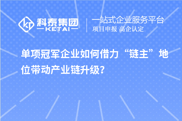 單項冠軍企業如何借力“鏈主”地位帶動產業鏈升級？