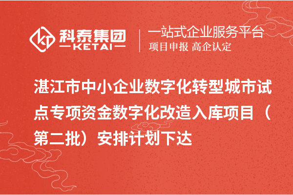 湛江市中小企業數字化轉型城市試點專項資金數字化改造入庫項目（第二批）安排計劃下達