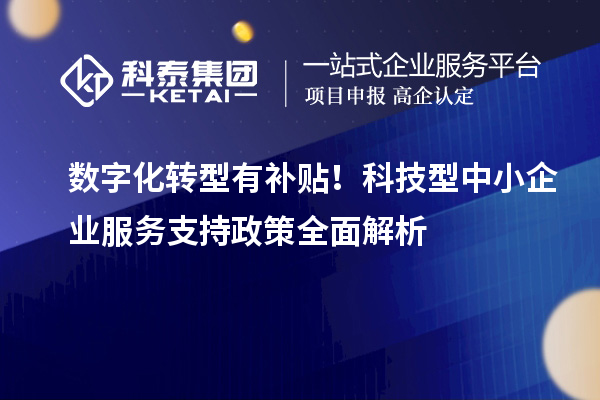 數(shù)字化轉(zhuǎn)型有補貼！科技型中小企業(yè)服務(wù)支持政策全面解析