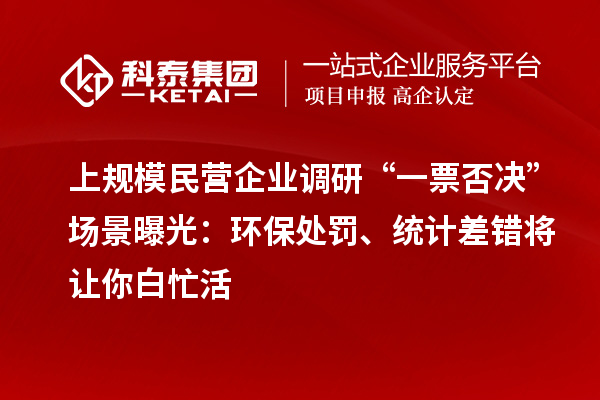 上規模民營企業調研“一票否決”場景曝光：環保處罰、統計差錯將讓你白忙活
