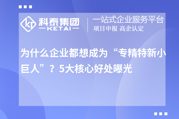 為什么企業都想成為“專精特新小巨人”？5大核心好處曝光