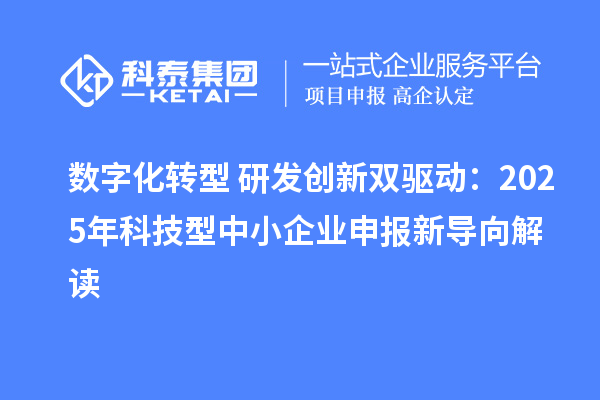 數字化轉型+研發創新雙驅動：2025年科技型中小企業申報新導向解讀