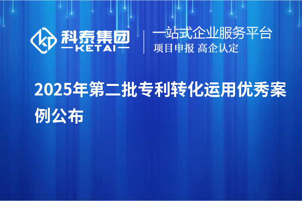 2025年第二批專利轉(zhuǎn)化運(yùn)用優(yōu)秀案例公布