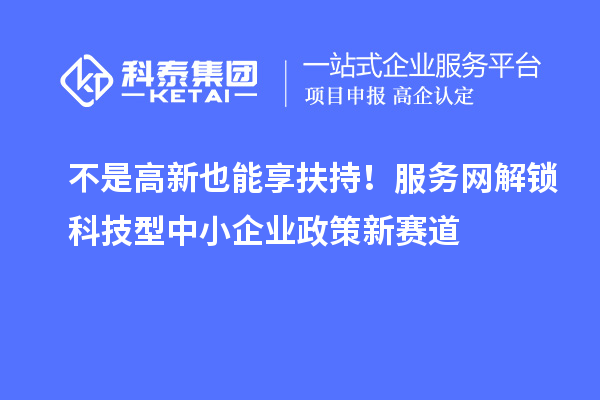 不是高新也能享扶持！服務網解鎖科技型中小企業政策新賽道