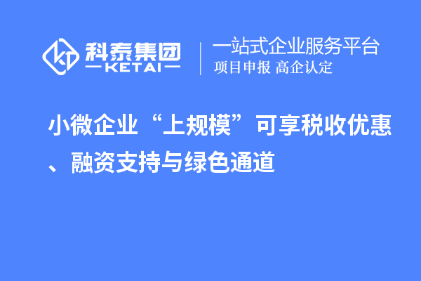 小微企業“上規模”可享稅收優惠、融資支持與綠色通道