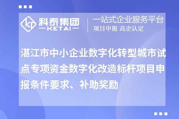 湛江市中小企業數字化轉型城市試點專項資金數字化改造標桿<a href=http://www.xjsygy.com/shenbao.html target=_blank class=infotextkey>項目申報</a>條件要求、補助獎勵