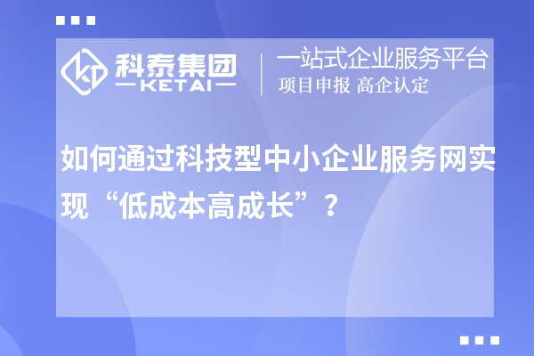 如何通過科技型中小企業服務網實現“低成本高成長”？